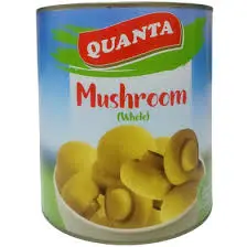 Quanta Mushroom