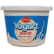 Pran Sour Yogurt