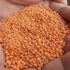 Deshi Mosur Dal