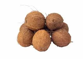 Coconut small