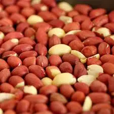 China badam 100gm