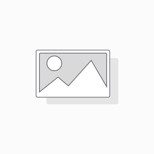 Rasel Corn Flour 100gm