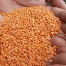 Mosur Dal 2 Deshi 1kg